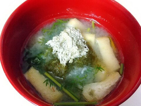 人参葉*油揚げ*とろろ昆布のお味噌汁